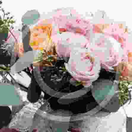 50+ Ideas for Your Bridal Bouquet